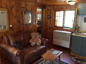 Living with bears